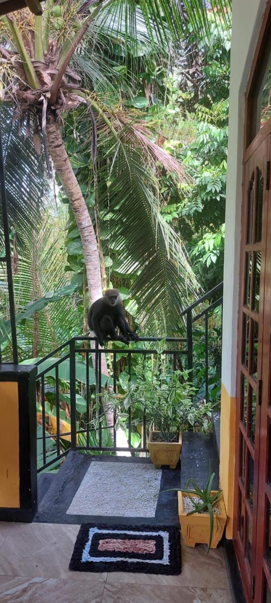 Villa Freedom House Unawatuna Exterior foto